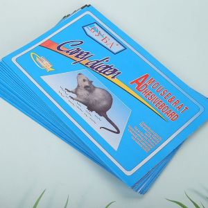 【Buy 1 get 1】12pcs Powerful Smoke Insect Agent Herbal Insecticide Cockroach Insect Killer Flea Mosquito Fumigant