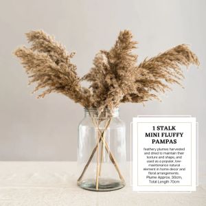 Dried Pampas Bunny Tails Palm Leaf Lavender Flowers Rustic Minimalist Home Decoration Flower Reed Bouquet Birthday Gift Main
