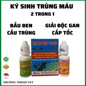Ký sinh trùng máu đầu đen gồm chai cầu trùng và giải độc gan thận cấp. Thú y Trường Thịnh