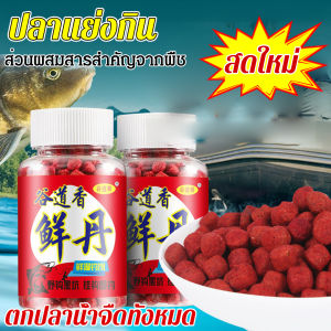 [อาหารเหยื่อปลาสด]เหยื่อตกปลาโปรตีนจากสัตว์สำหรับคนขี้เกียจ เม็ดเหยื่อปลาสดขี้เกียจ อุดมไปด้วยผงไส้เดือนและผงกุ้ง เหยื่อตกปลา อาหารรังปลา ปลาได้ทุกชนิด เหยื่อตกปลารวม