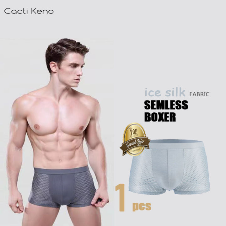 2 Pcs Men Ice Silk Underwear, Mens Boxer Shorts Seamless Sexy