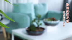 Hydroponic Ceramic Flower Pot Large Diameter Extra Large Shallow Mouth Pot Copper Money Grass Narcissus Chinese Style Water Cultivation Ancient Method Fish Tank Pot