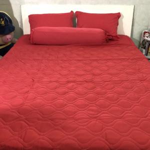Mền thun chần bông 1m65x2m (KO KÈM: ÁO NẰM ÁO ÔM TẤM DRAP). Ga thun - Drap thun - Ra thun - Grap thun. Ra giường - Drap giường - Ga giường - Grap giường.