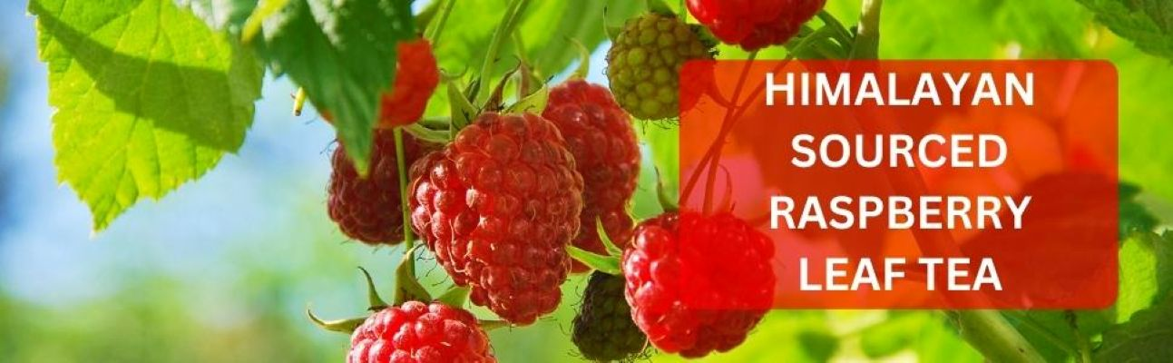 Red Himalayan Raspberry Organic Red Raspberry Leaf Tea | ใบราสเบอร์รี่แดง ออร์แกนิค | Himalayan ...
