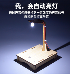 (STEM) Ready Stock DIY Voice Control Lamp for Early Learning School Science RBT