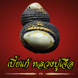 เบี้ยแก้ หลวงปู่เจือ ปิยะสีโล วัดกลางบางแก้ว จังหวัดนครปฐม เบี้ยแก้ปิดทองลงรักดำ 2ห่วง