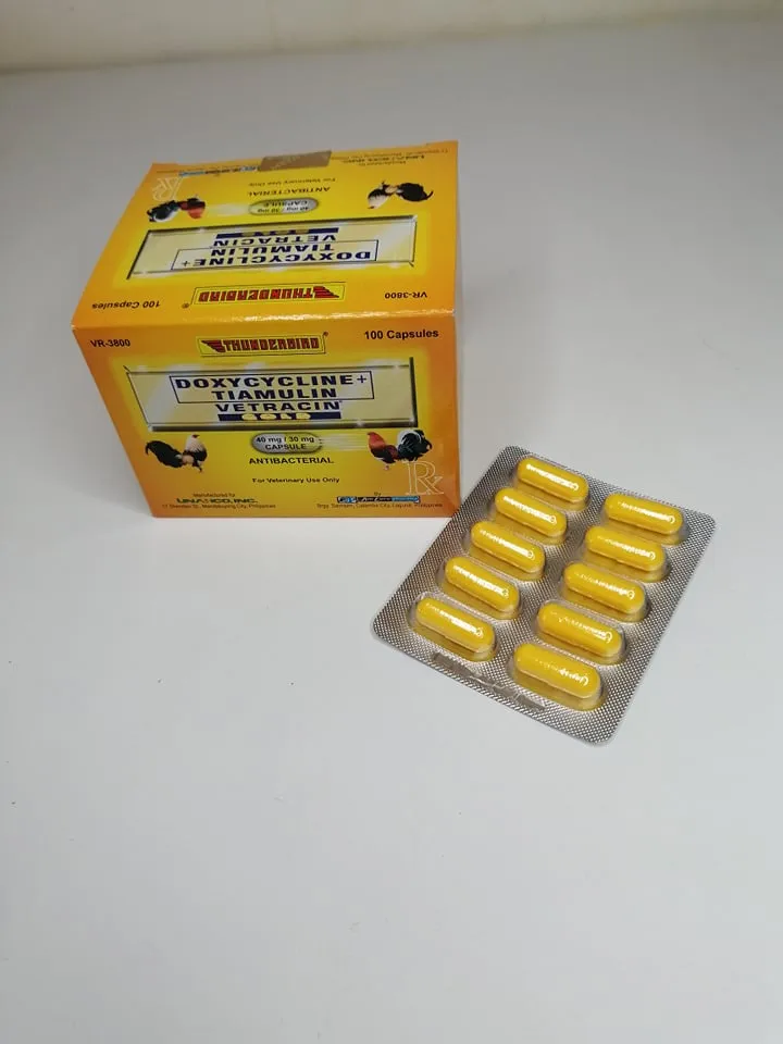 Erotik ichki kiyim fotosuratlarida busty brunettalar Porno ekspress poezd