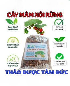 100g cây mâm xôi rừng sấy khô