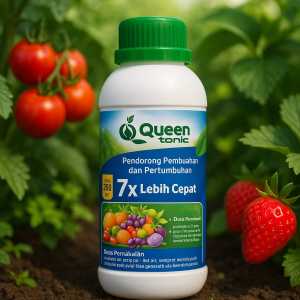 Pupuk Cair Cabai Cepat Berbuah & Lebat – Perangsang Bunga dan Buah Cabe Super Panen Queen Tonic 1 Liter