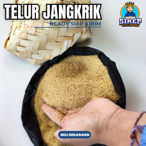Telur jangkrik alam 1 kg murni tanpa campuran daya tetas tinggi untuk ternak jangkrik siap kirim