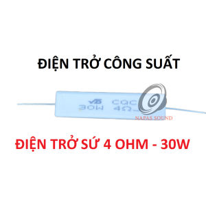 BỘ 20 ĐIỆN TRỞ CÔNG SUẤT 30W 4R - ĐIỆN TRỞ SỨ