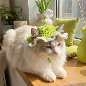 OUTOPEN Handmade Cat Knitted Hat Crochet Warm Cat Tied-up Hat Funny Cartoon Pet Cap Party Costume