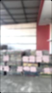 tikar plastik lipat ukuran 300x200 tikar lipat ukuran 300x200 jumbo Karpet singa laut Jumbo 2 x3