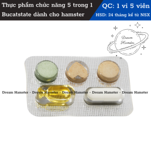 Cải thiện sức khỏe 5 trong 1 Bucatstate dành cho chuột hamster