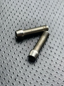 Bộ 2 Ốc inox Ốc titan Ốc salaya heo dầu gù tay lái sản phẩm nhiều kích thước 8 li x 2.5 phân / 10 li x 2 phân hàng nhập khẩu thailand