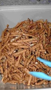 SANTAI BASRENG CEMILAN