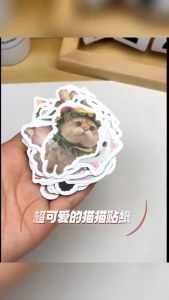 Pelekat Kucing Realistik 写实小猫卡通贴纸 Realistic Cat Cartoon Sticker 可爱宠物装饰手账 Cute Cat Decoration Sticker