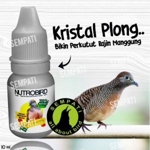 SEMPATI Nutrobird Supplement Turtledope / Birdvit / Gacor Konslet Perkutut / Vitamin Burung Perkutut / Suplemen Burung Perkutut / Nutrisi Burung Perkutut / Obat Burung / Herbal Burung / Burung Kontes / Asli Original NOPKT