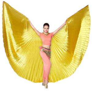Adult Belly Dance Butterfly Wings Belly Dance Professional Costume Isis Wing