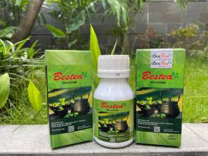 TEH HITAM BESTEA 80GR HERBAL KOLESTEROL DAN ASAM URAT