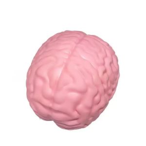 YRUQYS Simulated Brain Squishy Toy Moldable Slow Rising Fidget Toy Stress Ball TPR Squeeze Toy Halloween Gifts