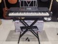 Davis D-629 61-Keys Piano-Keyboard with Touch Response. 