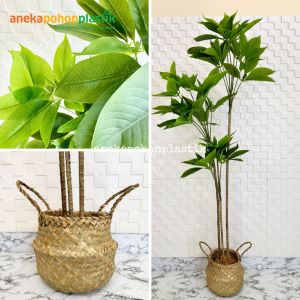 Pohon Hias Imitasi Daun Manggis Variasi Tinggi 150 & 170 Cover Purun Belly Hiasan Sudut Cafe