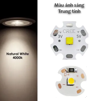 Bóng Led Cree 5V - 3W 5W siêu sáng (Trắng Vàng Trung tính) Chip Led đèn rọi Đèn trang trí Đèn đọc sách Đèn pin siêu sáng