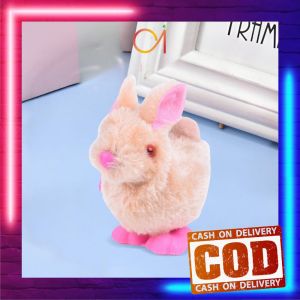 AI-M359 Mainan Kelinci Bulu Berjalan Otomatis / Mainan Kelinci Putar Manual / Mainan Anak Pet Rabbit