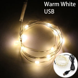 【Neatly】 100 Leds LED USB  String Light Silver Wire Fairy Lights Home Christmas Wedding Birthday Party Decor for Home DIY Light 10M