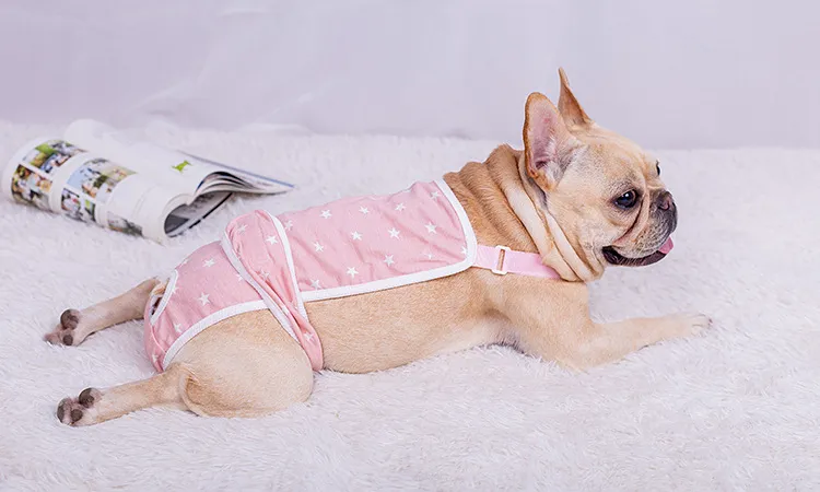 Dog Period Sanitary Pants  Female French Bulldog Sanitary Panties