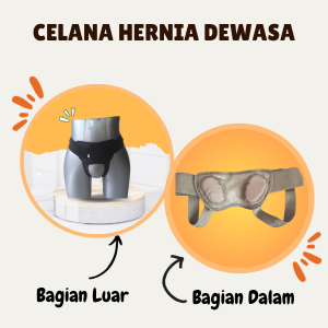 Sabuk Penyangga Hernia Turun Berok Original