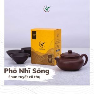 Trà Phổ Nhĩ Sống Rời Shan Tuyết Cổ Thụ Thiện Tài Trà Cổ Thụ Hà Giang Vụ Xuân Một Tôm Một Lá Túi 2 Lạng