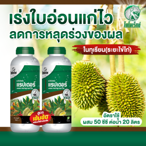 อะมิโนแรปเตอร์ ตราไดโนเร็กซ์ บำรุงพืชให้สมบูรณ์ โตไว ใบเขียว เพิ่มผลผลิต ผลใหญ่ ลดปุ๋ย ออร์แกรนิค บรรจุ 1 ลิตร