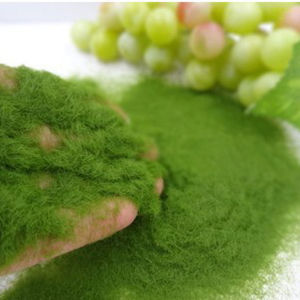 YOUSHI TOP Thiết kế nội thất Thủ công Nhà Sân vườn Bột cỏ nhân tạo Rêu nhân tạo Trang trí tiểu cảnh Phụ kiện DIY