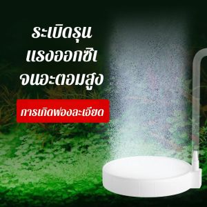 แผ่นก๊าซนาโน การทําให้เป็นละอองสูง ฟองละเอียดอ่อน ฟองละเอียด เครื่องฟอกอากาศ ปั๊มออกซิเจน