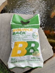 Phân hữu cơ tan chậm Bounce back 500gram chuyên bón cho mọi loại cây cảnh