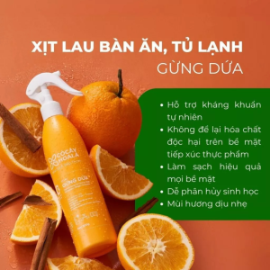 Xịt lau bàn ăn tủ lạnh Cỏ Cây Hoa Lá Gừng Dứa 300g kháng khuẩn tự nhiên không bám mùi - Ha Chi JSC