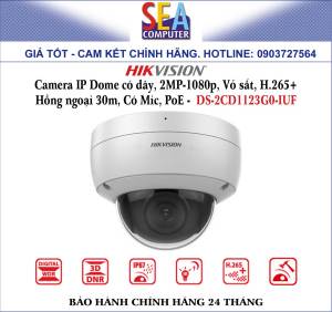 HIKVISION Camera IP Dome có dây 2MP-1080p Vỏ sắt H.265+ Hồng ngoại 30m Có Mic PoE -  DS-2CD1123G0-IUF