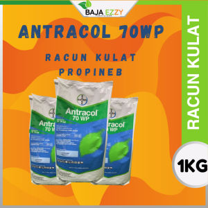 Antracol 70WP Racun Kulat Propineb 1kg