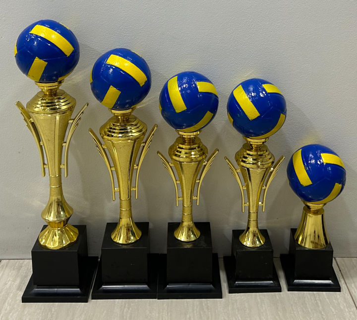 Mr2 Sports Plastic Volleyball Trophy Volleyball Ball With Gold Cup Type