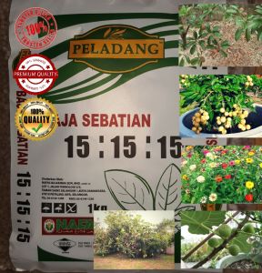 [ Ready Stock ] Baja Pokok NPK 15:15:15 Baja Pertumbuhan - Baja Subur Fertilizer Baja Buah Baja Daun Baja Bunga Baja Npk Baja Sebatian Baja Peladang Baja Campuran Baja Terbaik Baja Rumput Baja Nafas Baja