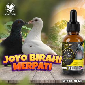 VITAMIN BURUNG PENDONGKRAK (MENAIKAN) BIRAHI MERPATI | BURUNG MACET BUNYI | BIRAHI MERPATI