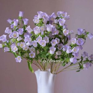 campanula | Flower Seed 风铃花草种子易活四季播种开花can be planted in all seasons making it easy to live indoor bonsai plants and flower seeds