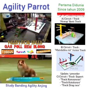 paket Lovebird latih Agility