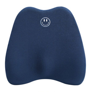 Lumbar Support Pillow for Office Chair Car Lumbar Pillow Back Pain Relief Memory Foam Back Cushion Ergonomic Orthopedic Back Rest