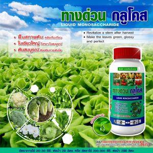 กลูโคส น้ำตาลทางด่วน สะสมอาหาร ก่อนราดสาร เตรียมต้น เร่งใบแก่ ใบใหญ่ ใบเขียวเข้ม ขนาด 1 ลิตร