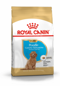 Hạt cho chó Royal Canin Poodle Puppy Thức ăn cho chó con Poodle 1.5kg Petemo Pet Shop