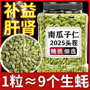 [In Stock] Ready-to-Eat Pumpkin Seeds & Nuts Snack  Mixed Nuts  Crispy & Delicious  Office Snack  Healthy Treat