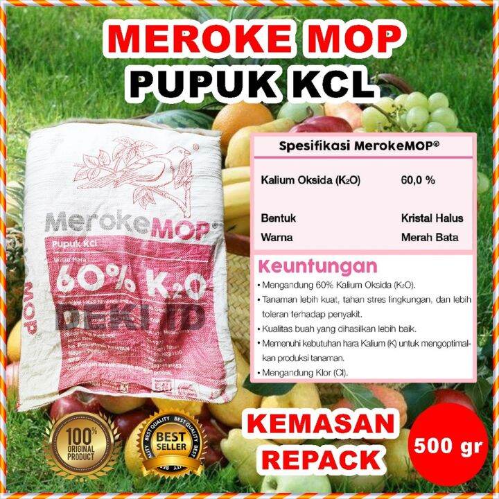 Kcl Mop Meroke Gr Kemasan Repack Pupuk Kalium Tinggi Tanaman Buah Bunga Sayur Lazada Indonesia